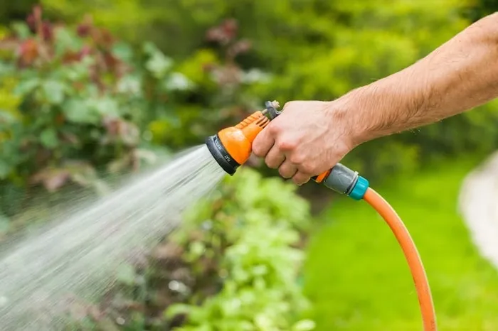 Produto: comprar mangueira para jardim
